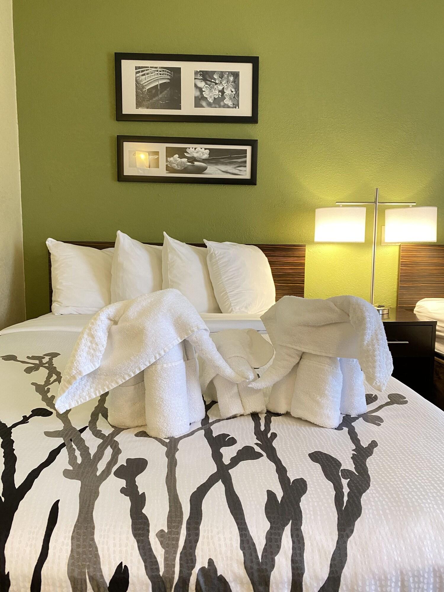 Sleep Inn & Suites Grand Rapids Extérieur photo