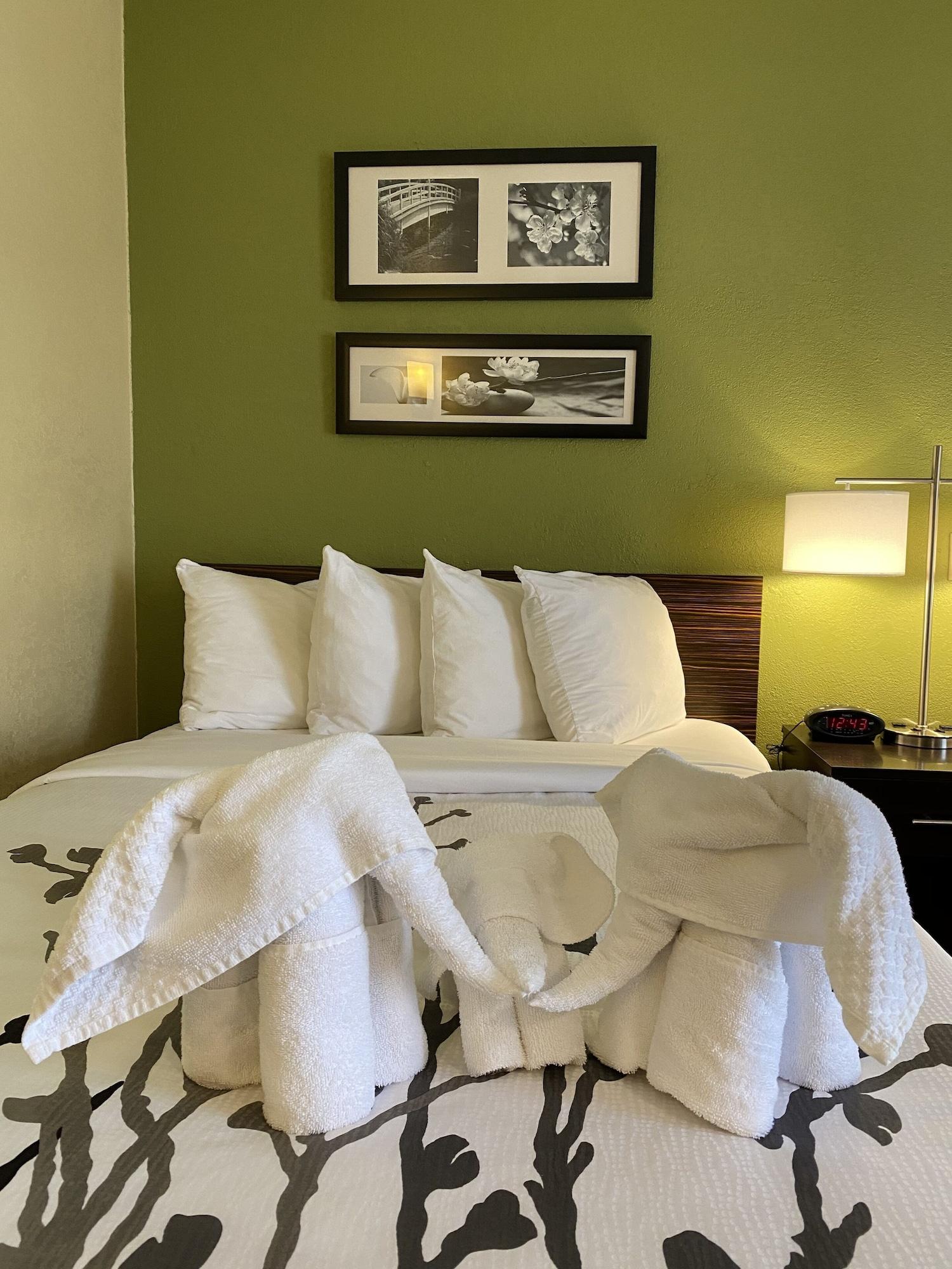 Sleep Inn & Suites Grand Rapids Extérieur photo